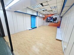 Sim Lim Square (D7), Shop House #499272661